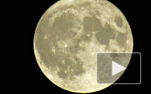 Очевидцы сняли самую большую Луну за 70 лет