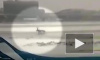 Опубликовано видео из Шереметьево с моментом аварии самолета
