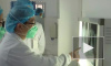 В России выдвинули две версии заражения коронавирусом
