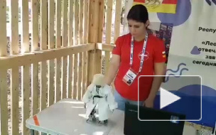 Видео: Робот в папахе танцует лезгинку перед Дмитрием Рогозиным