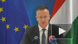 Глава МИД Венгрии Сийярто назвал США бенефициаром рецессии в Европе