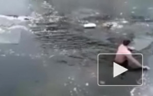 Видео: Астраханец спас из ледяной воды собаку 