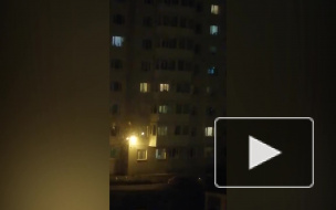 Под Петербургом семейный конфликт закончился автоматными очередями