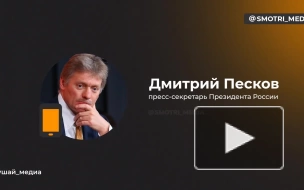 Песков: в Кремле известно о финансовых ограничениях турецких банков на транзакции с Россией