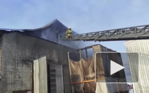 В Свердловской области произошел пожар в цехе с палетами
