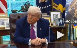 Трампа не беспокоят утверждения о наращивании РФ сил близ Финляндии и Норвегии