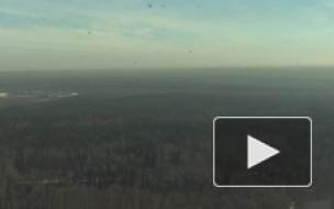 Новости часа: 7 июля, 16.00 — происшествия 