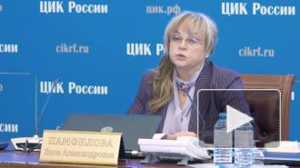 Памфилова дала оценку явке на голосовании по Конституции