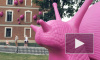 Видео: гигантские розовые улитки атаковали Новую Голландию