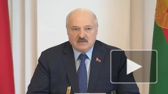 Лукашенко: спецоперация на Украине многому научила Белоруссию