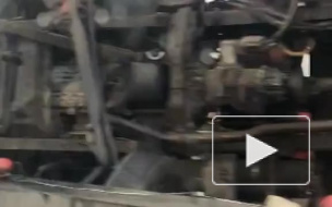 Видео: На КАД столкнулись два грузовика, один из низ перевернулся