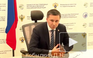 Министр предупредил Путина о самом жарком лете в истории
