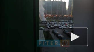 Видео: в Мурино загорелись автомобили