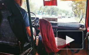 Нервный водитель маршрутки избил девушку за болтовню по телефону