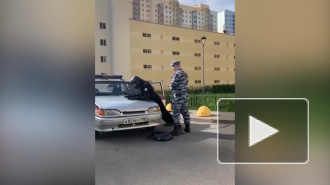 На видео попало задержание страйкболиста, который пытался пройти в школу с оружием