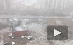 В середине апреля Петербург замело снегом 