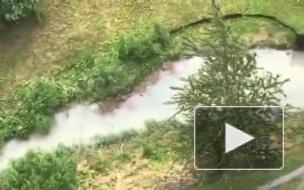 Петербуржцев обеспокоил цвет воды в Мурзинке