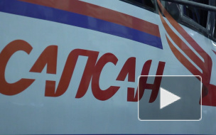 Цена на "Сапсан" может снизиться до 645 рублей