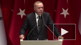 Турция ответила на угрозы Трампа из-за военной операции в Сирии