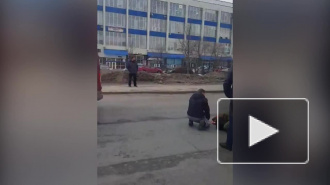 Молодая девушка попала под колеса автомобиля на улице Седова