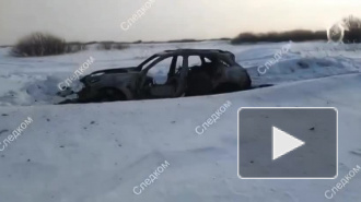 В Алтайском крае мужчина застрелил своих гостей, а затем сжег тела в машине