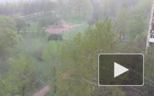 Видео: в Петербурге объявлен желтый уровень опасности из-за непогоды