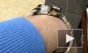 Longines conquest GMT