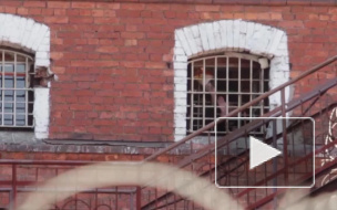 Заключенный без пальца во второй раз сбежал из колонии в Борисовой Гриве