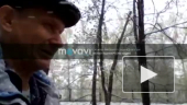 Аномальная погода в Горном-Алтае