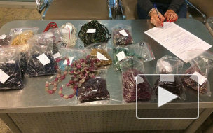 Чемодан с драгоценностями изъяли у россиянки в Шереметьево