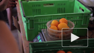 Роскачество рассказало о рисках, связанных с покупкой продуктов с рук