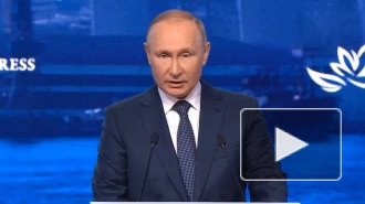 Путин: глобальная экономика переживает сложные времена