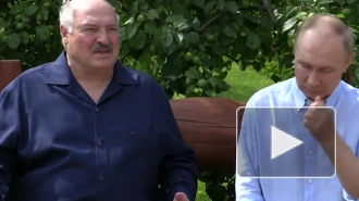 Путин: Киев завышает количество якобы вывезенных в Москву детей