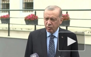 Эрдоган оценил роль России в газовой стабильности Турции