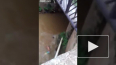 Смертельное видео из Бразилии: Парень прыгнул с моста ...