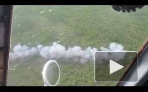 Лесной пожар в Амурской области остановили взрывами