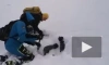 Туриста накрыло лавиной на Камчатке