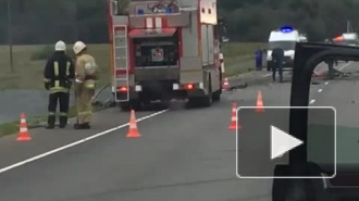 В страшном ДТП в Ленобласти погибли пятеро взрослых и двое детей