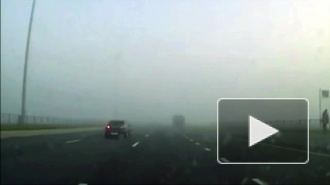 На трассе в Голландии неимоверный хаос: в тумане столкнулись 150 машин, есть погибшие