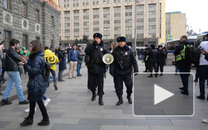 Полиция Москвы напомнила о запрете любых акций во время самоизоляции