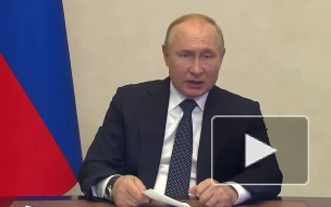Путин: Россия является одним из лидеров по глобальной декарбонизации