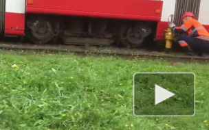 В Петербурге трамвай сошел с рельсов