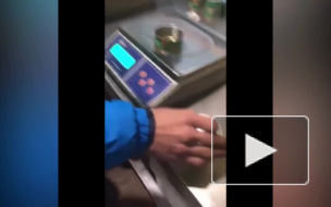 Полиция Петербурга обнаружила контрафактную икру: рабочих заставили показать, как изготавливают подделку
