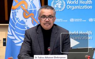 ВОЗ: число новых случаев коронавируса в мире снижается третью неделю подряд