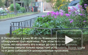 Труп мужчины весь день пролежал под дождем в Петербурге