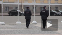 В Петербурге трое кавказцев изнасиловали девятиклассницу