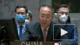 КНР и Индия не стали голосовать в СБ ООН по присоединению ...