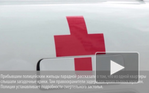 На Охте трое собутыльников забили товарища до смерти и выбросили тело в парадную