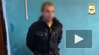В Смоленской области сотрудники уголовного розыска раскрыли разбой в отношении пожилой женщины