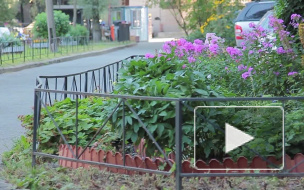 Изуродованный труп женщины с проломленным черепом нашли во дворе дома на Лавочника